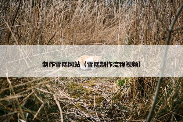 制作雪糕网站（雪糕制作流程视频）