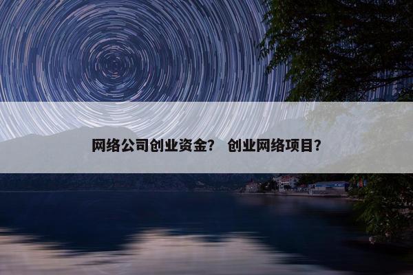 网络公司创业资金？ 创业网络项目？