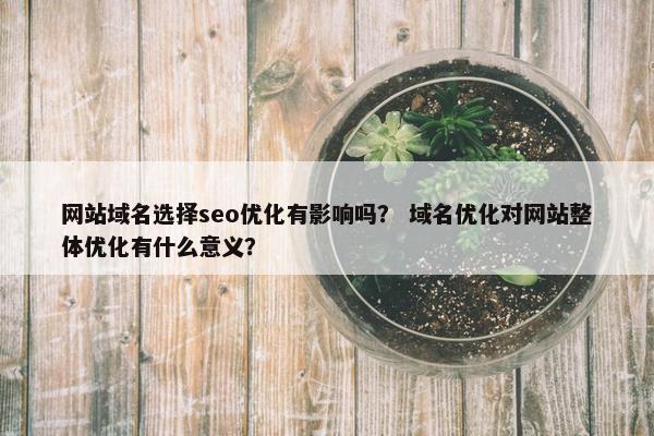 网站域名选择seo优化有影响吗？ 域名优化对网站整体优化有什么意义？