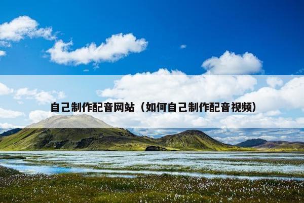 自己制作配音网站（如何自己制作配音视频）