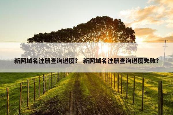 新网域名注册查询进度？ 新网域名注册查询进度失败？