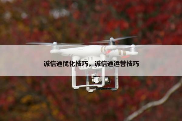诚信通优化技巧，诚信通运营技巧