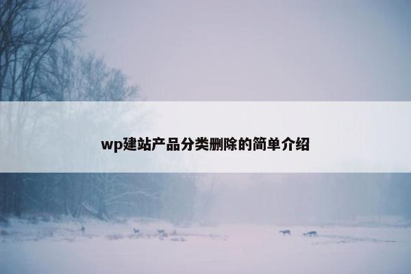 wp建站产品分类删除的简单介绍