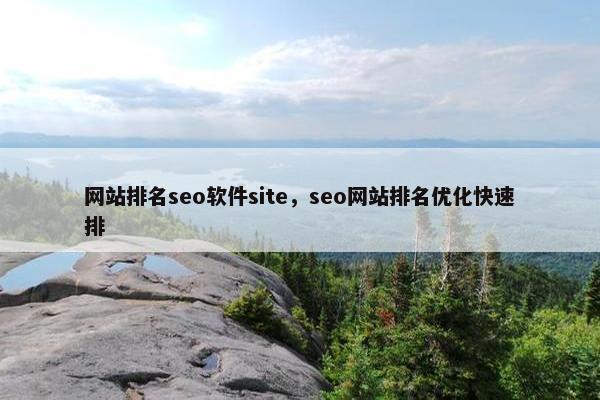 网站排名seo软件site，seo网站排名优化快速排