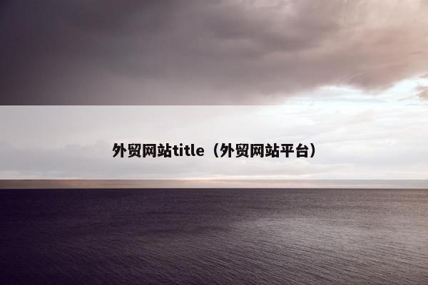 外贸网站title（外贸网站平台）