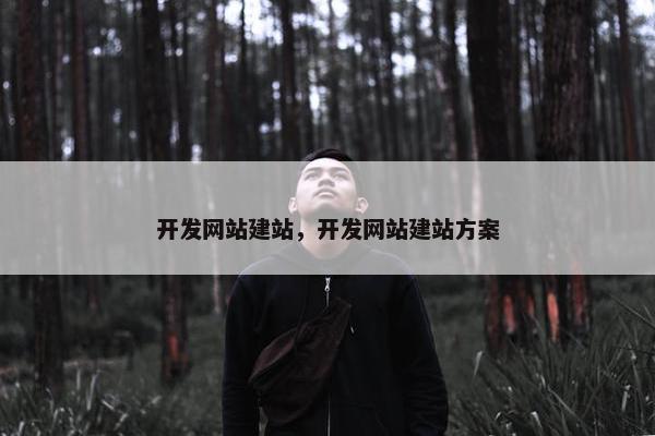 开发网站建站，开发网站建站方案