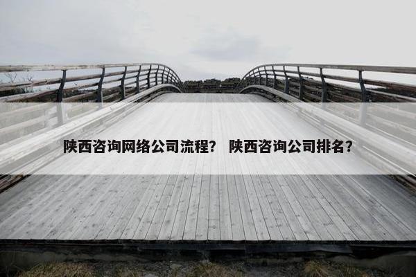 陕西咨询网络公司流程？ 陕西咨询公司排名？