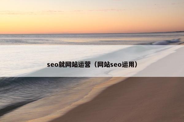 seo就网站运营（网站seo运用）
