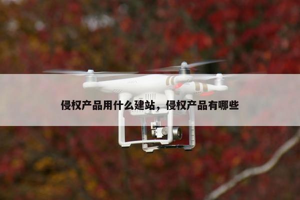 侵权产品用什么建站，侵权产品有哪些