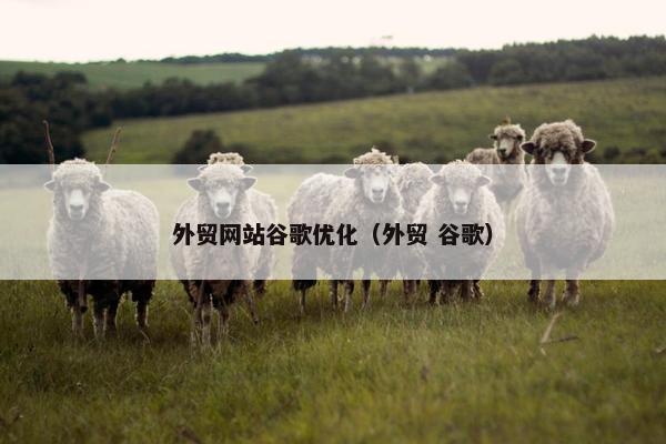 外贸网站谷歌优化（外贸 谷歌）