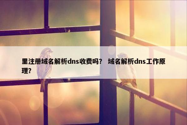 里注册域名解析dns收费吗？ 域名解析dns工作原理？