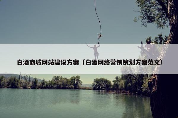 白酒商城网站建设方案（白酒网络营销策划方案范文）