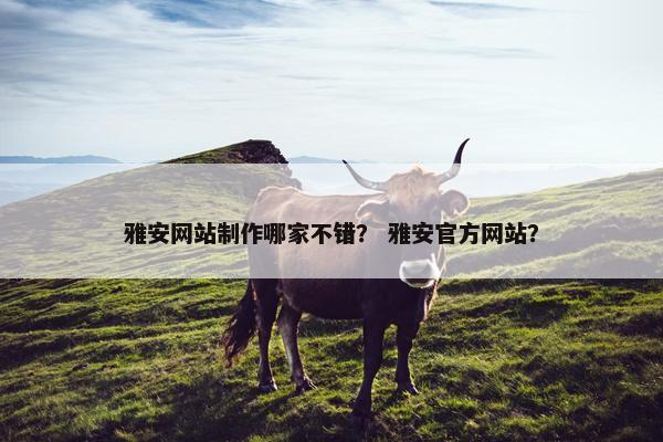 雅安网站制作哪家不错？ 雅安官方网站？