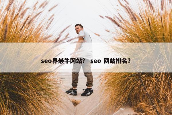 seo界最牛网站？ seo 网站排名？