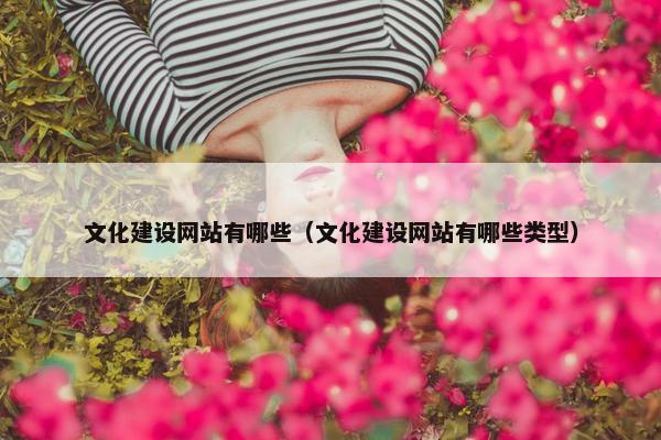 文化建设网站有哪些（文化建设网站有哪些类型）