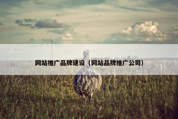 网站推广品牌建设（网站品牌推广公司）