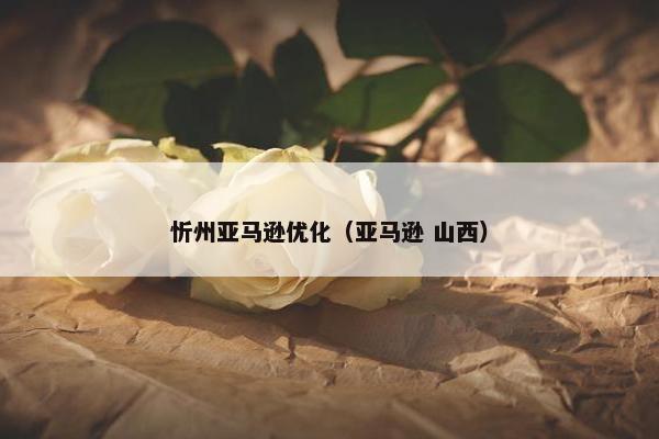 忻州亚马逊优化（亚马逊 山西）