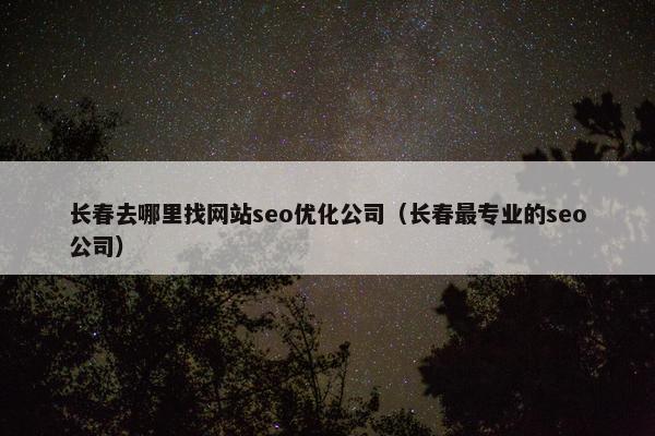 长春去哪里找网站seo优化公司（长春最专业的seo公司）