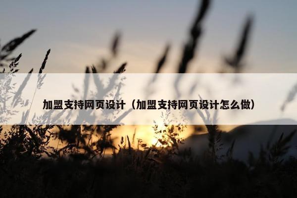 加盟支持网页设计（加盟支持网页设计怎么做）
