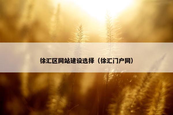 徐汇区网站建设选择（徐汇门户网）