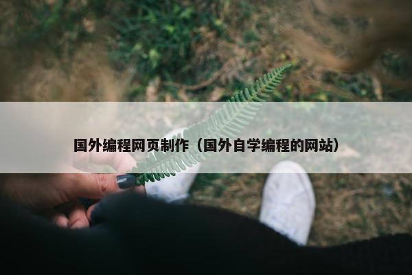 国外编程网页制作（国外自学编程的网站）