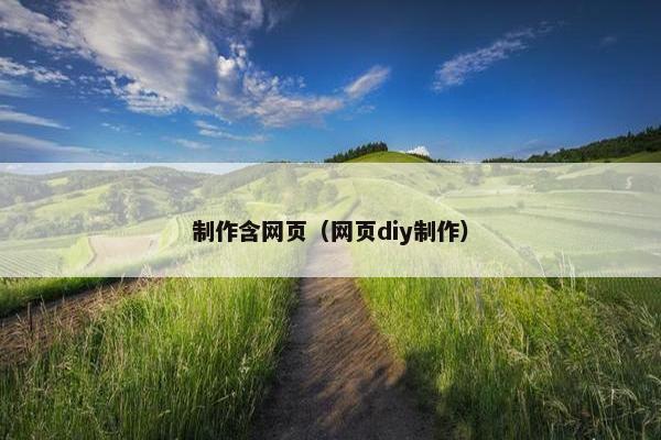 制作含网页（网页diy制作）