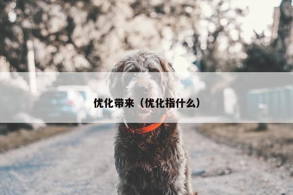 优化带来（优化指什么）