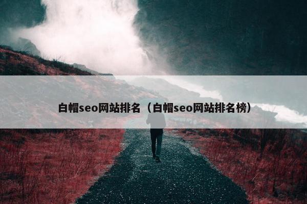 白帽seo网站排名（白帽seo网站排名榜）