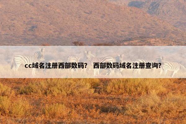 cc域名注册西部数码？ 西部数码域名注册查询？