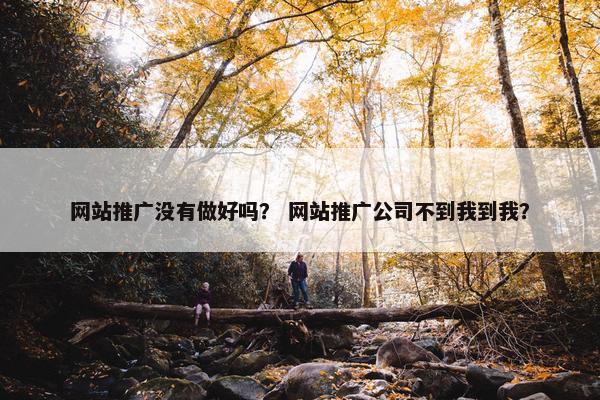 网站推广没有做好吗？ 网站推广公司不到我到我？