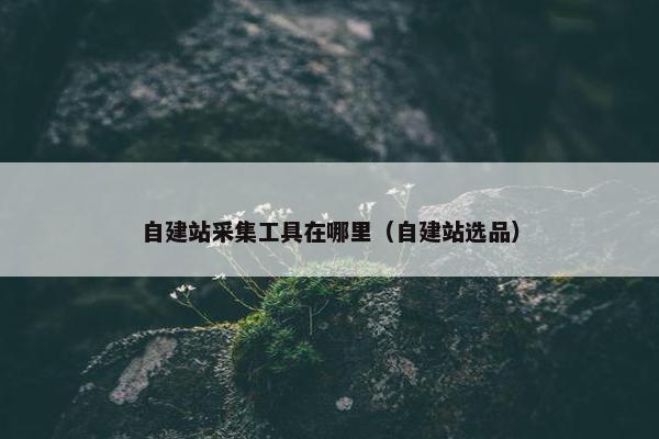 自建站采集工具在哪里（自建站选品）