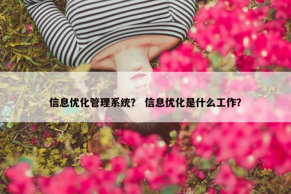 信息优化管理系统？ 信息优化是什么工作？