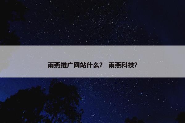 雨燕推广网站什么？ 雨燕科技？