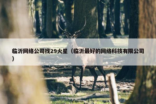 临沂网络公司找29火星（临沂最好的网络科技有限公司）