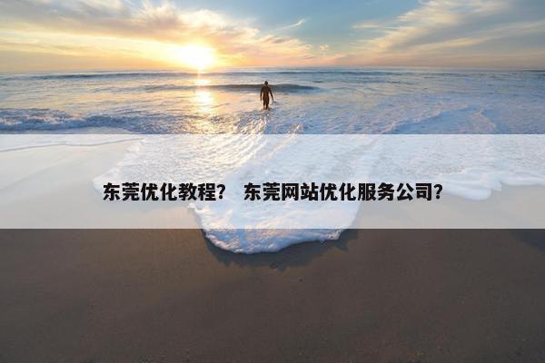 东莞优化教程？ 东莞网站优化服务公司？
