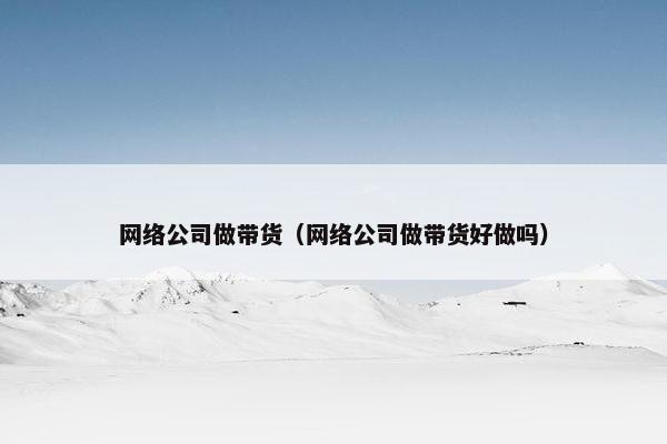 网络公司做带货（网络公司做带货好做吗）