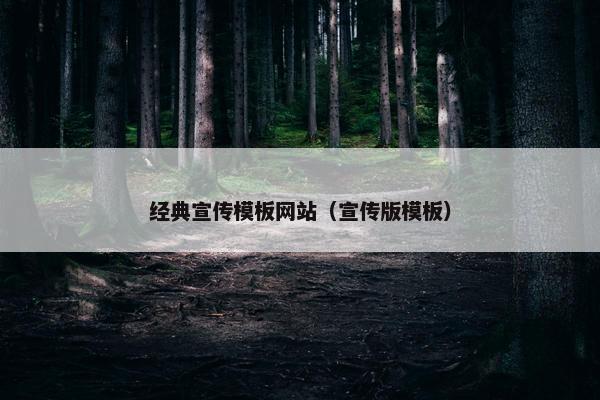 经典宣传模板网站（宣传版模板）