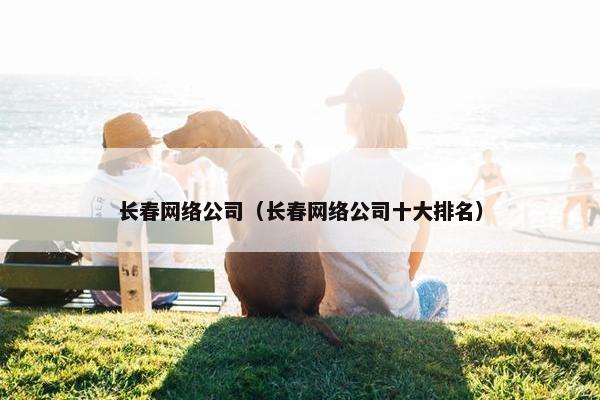 长春网络公司（长春网络公司十大排名）