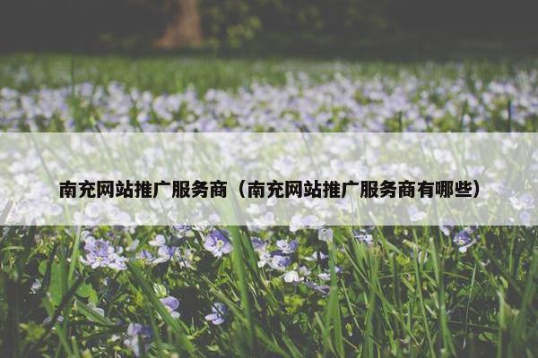南充网站推广服务商（南充网站推广服务商有哪些）
