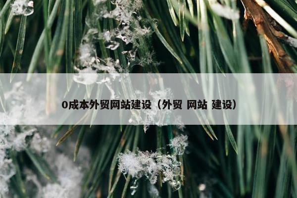 0成本外贸网站建设（外贸 网站 建设）