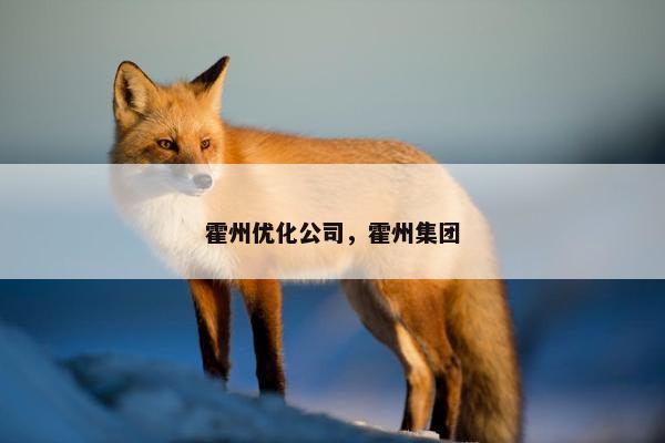 霍州优化公司，霍州集团