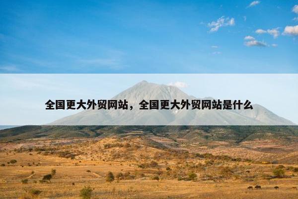 全国更大外贸网站，全国更大外贸网站是什么