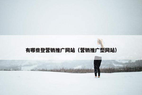 有哪些登营销推广网站（营销推广型网站）