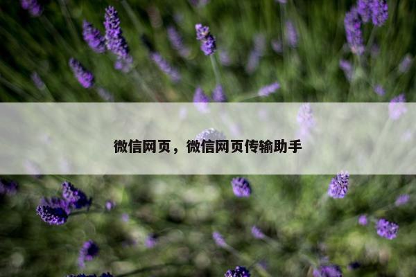 微信网页，微信网页传输助手