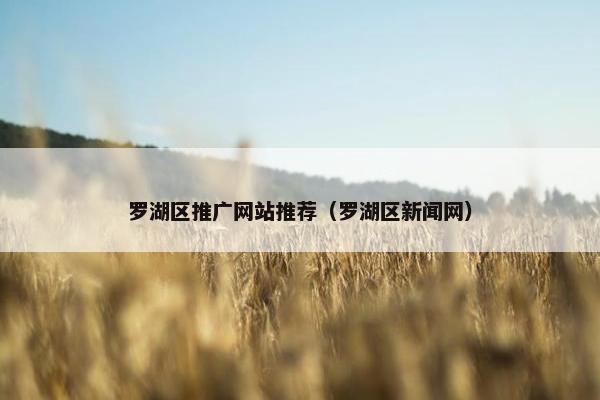 罗湖区推广网站推荐（罗湖区新闻网）