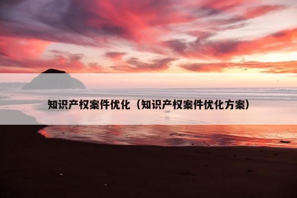 知识产权案件优化（知识产权案件优化方案）