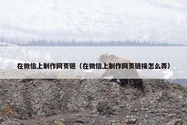 在微信上制作网页链（在微信上制作网页链接怎么弄）
