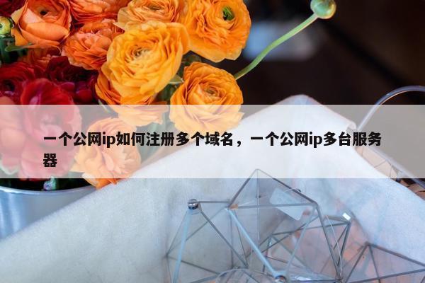 一个公网ip如何注册多个域名，一个公网ip多台服务器