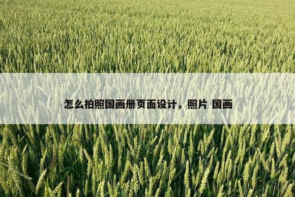 怎么拍照国画册页面设计，照片 国画