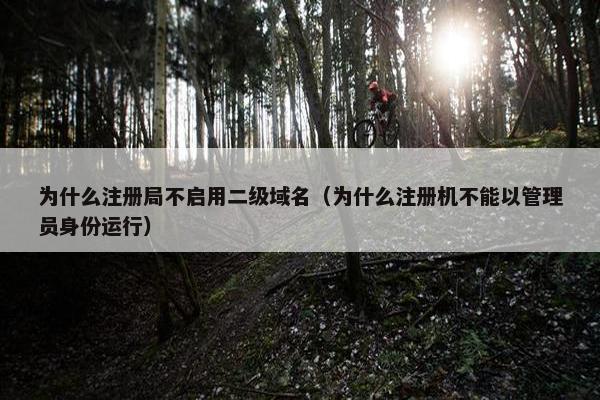 为什么注册局不启用二级域名（为什么注册机不能以管理员身份运行）